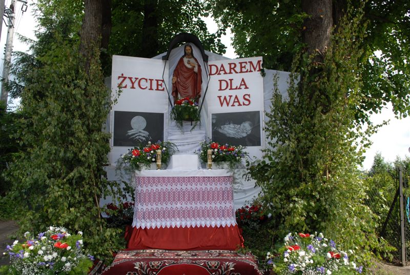 zdjecia12 027